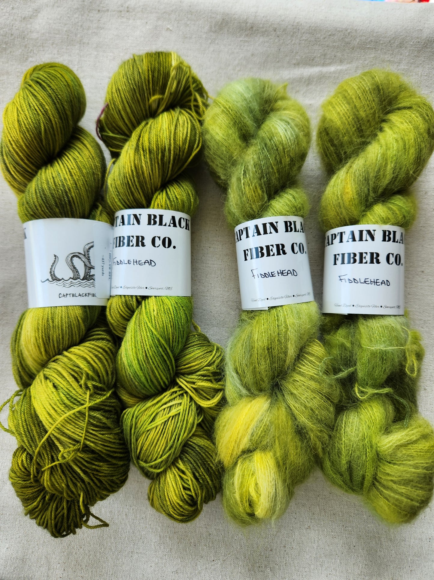 Fiddlehead - Barracuda Lace