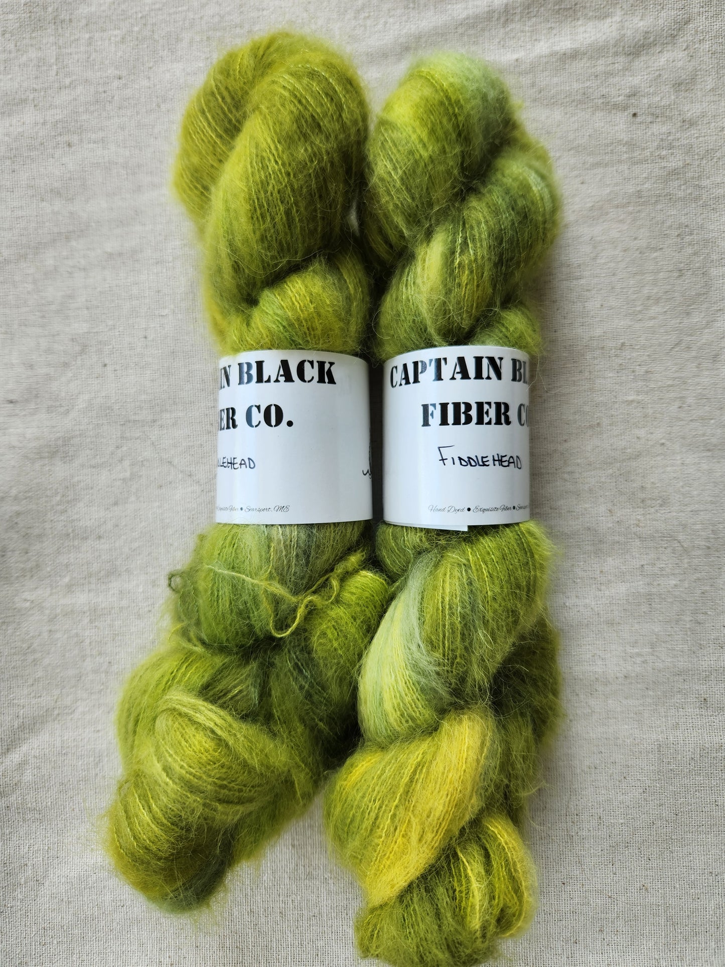 Fiddlehead - Barracuda Lace